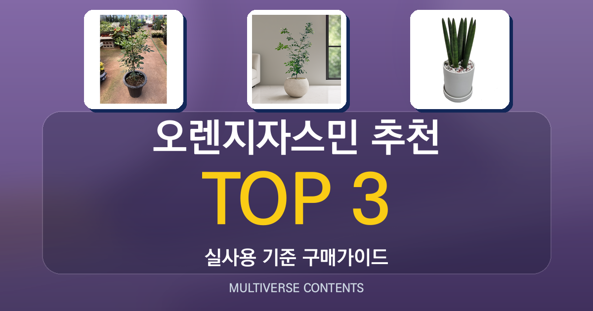 실사용 기준 오렌지자스민 추천 BEST 3 비교 가이드
